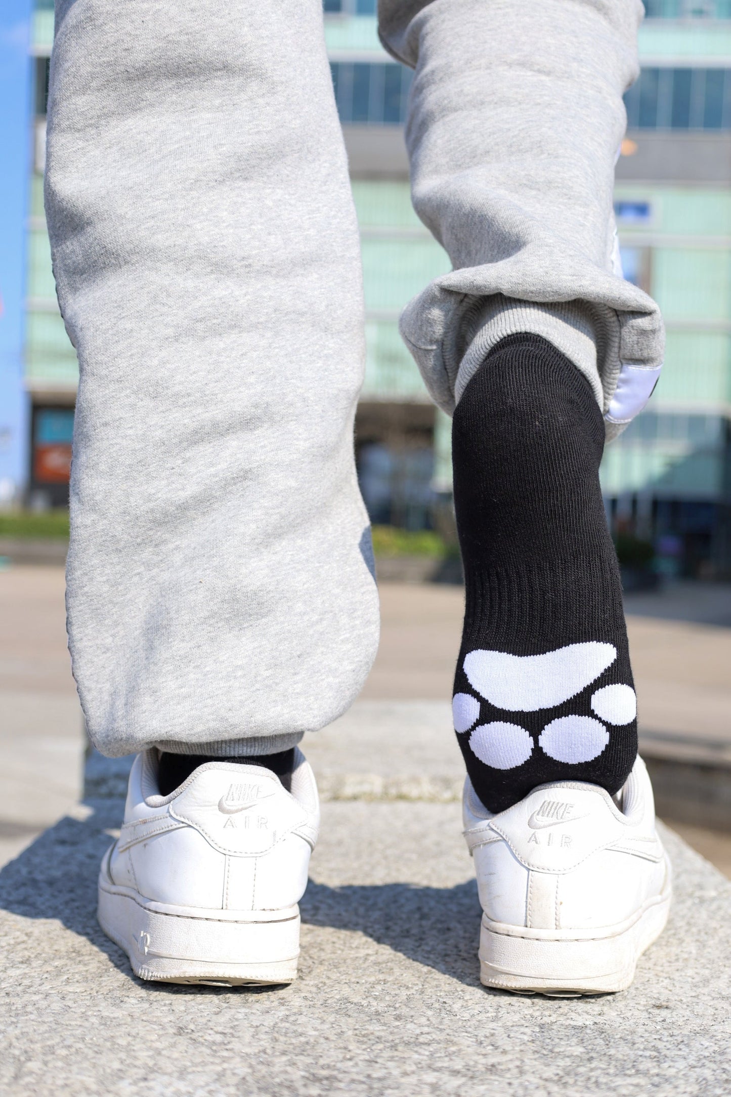 Sk8erboy® PUPPY Short Crew Socks black