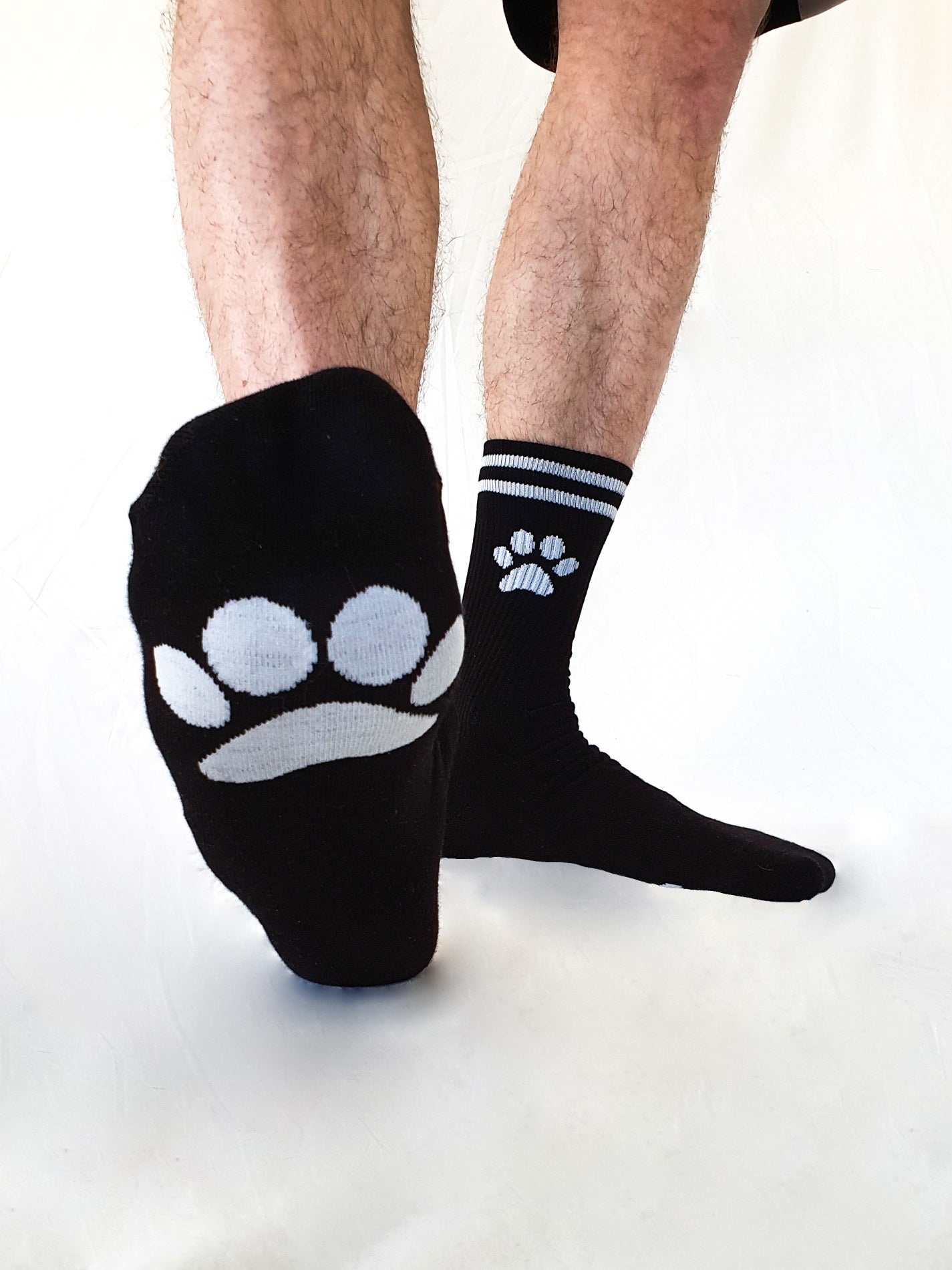 nahansicht von vorne von sk8erboy puppy socken in schwarz mit verstecktem logo in der innenseite des bundes und weißen pfoten auf der unterseite und seitlich