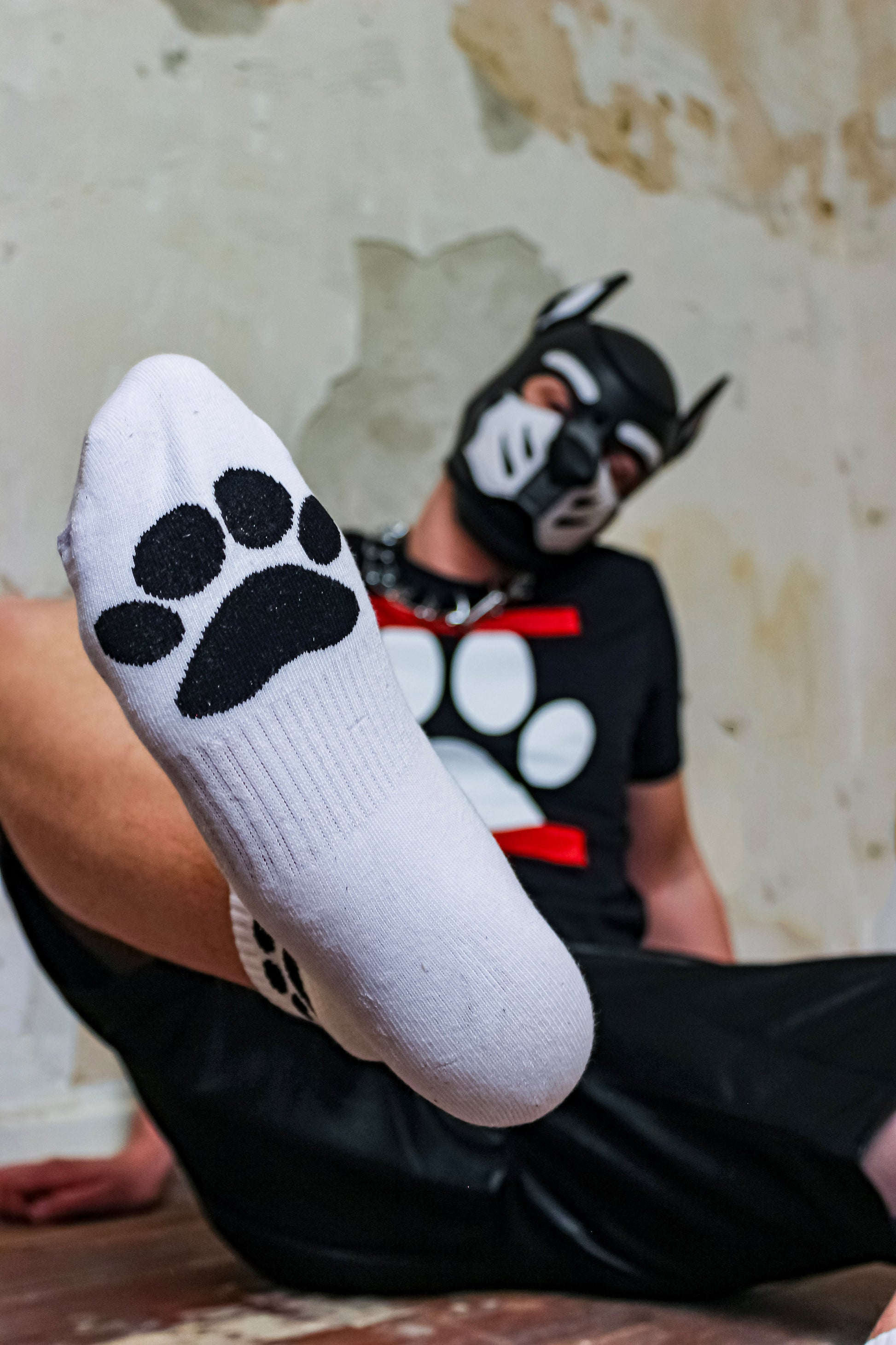 junger gay doggy traegt weisse sk8erboy puppy short crew socks mit hunde pfoten in schwarz und dog paw t-shirt mit hundemaske zu seinen roten nike tn zieht seine socken am bund straff